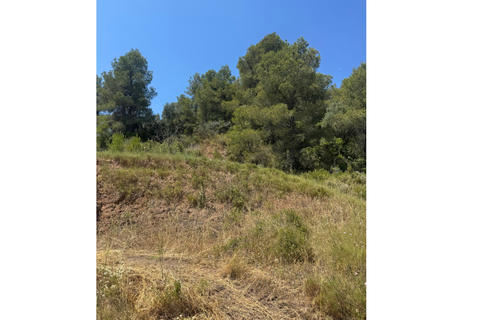Ruinere i Mora La Nova, Tarragona, Mora La Nova - € 96.000 | Ref: Masía Catalana - foto 5